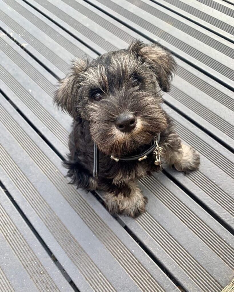 10weeks